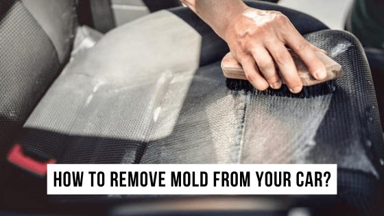 How to remove mold from your car?
